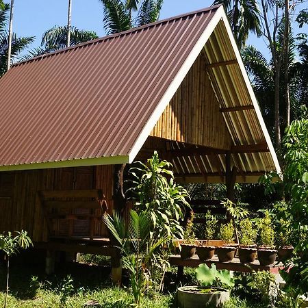 Khao Sok Jungle Resort Khao Sok National Park Номер фото