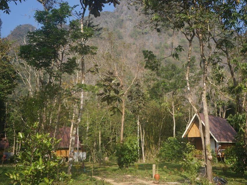 Khao Sok Jungle Resort Khao Sok National Park Екстер'єр фото