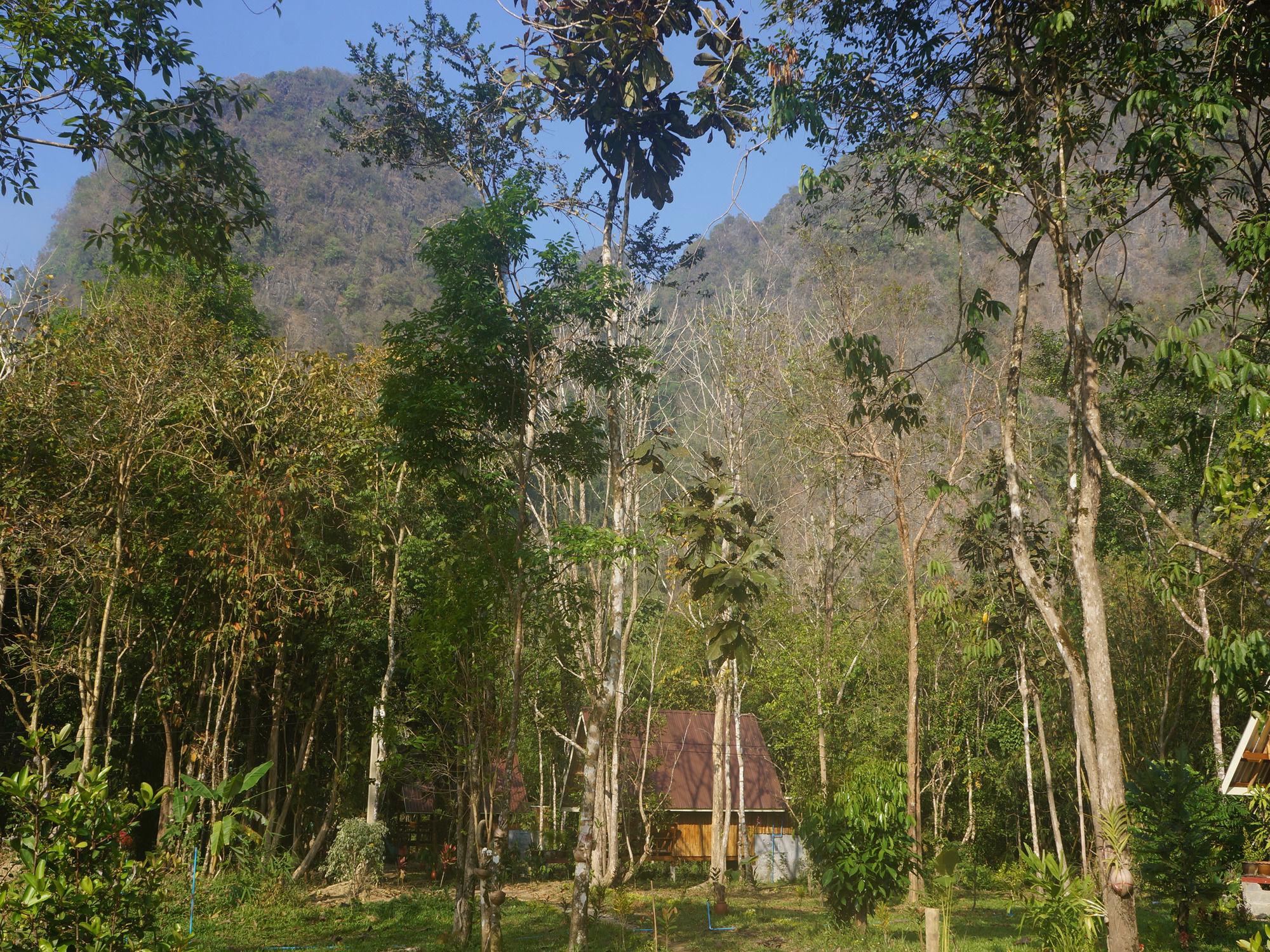 Khao Sok Jungle Resort Khao Sok National Park Екстер'єр фото