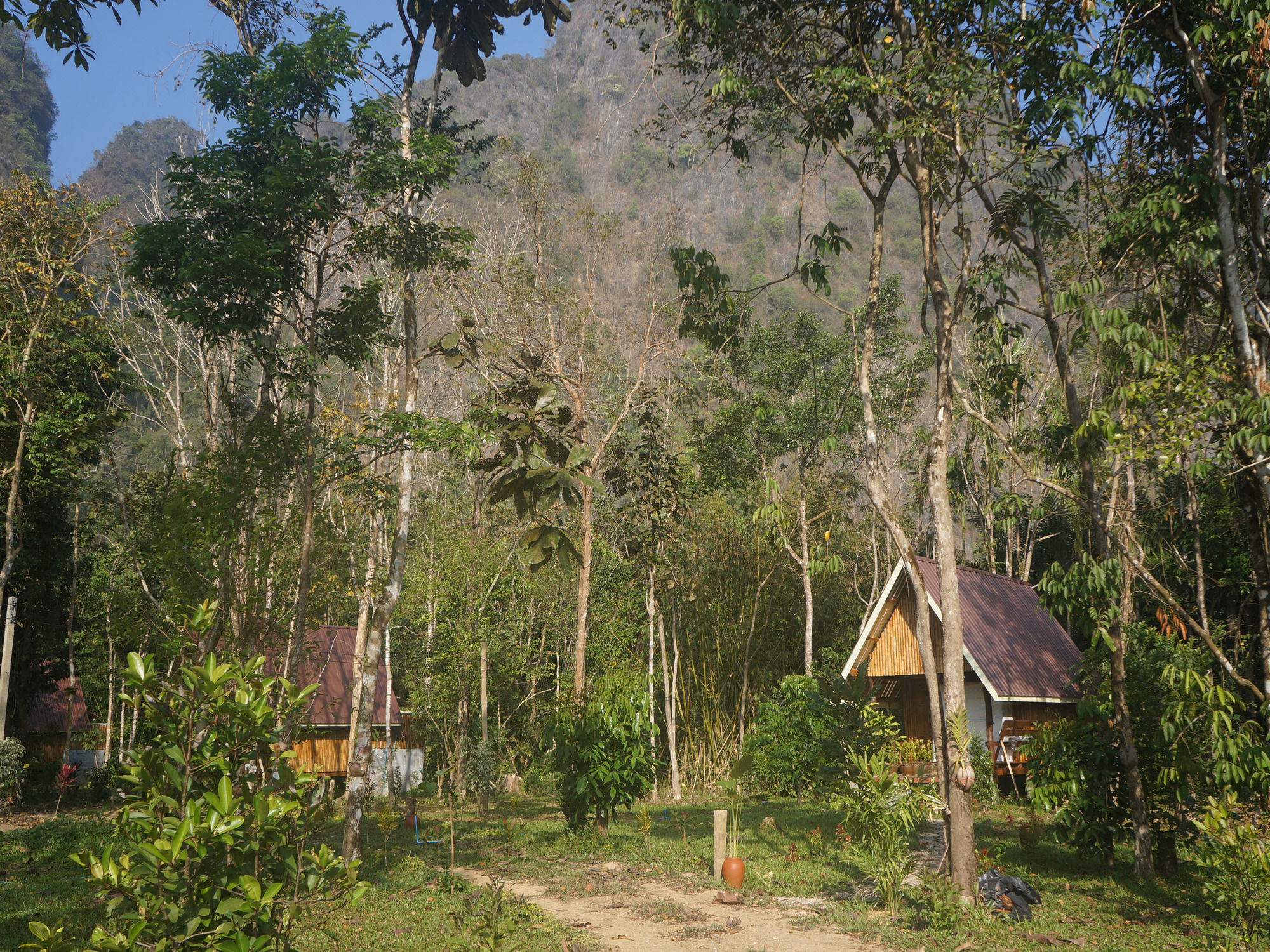 Khao Sok Jungle Resort Khao Sok National Park Екстер'єр фото